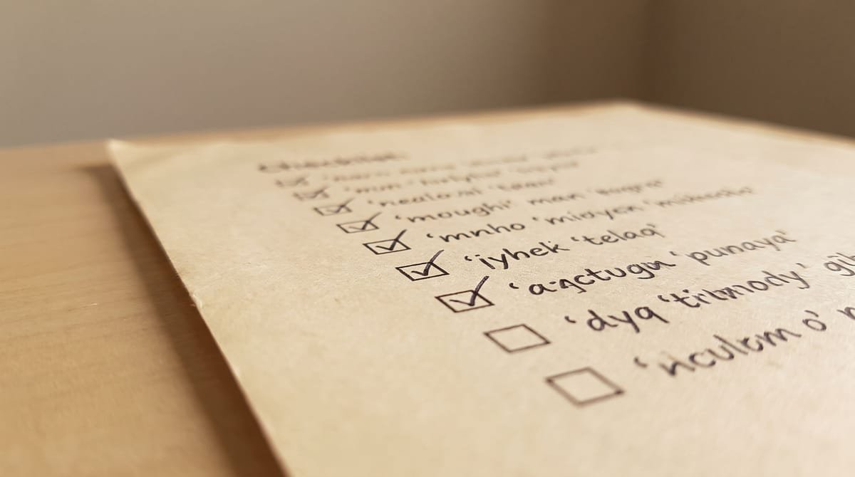 Mam translation visual: A checklist with most boxes filled and the last two still empty.