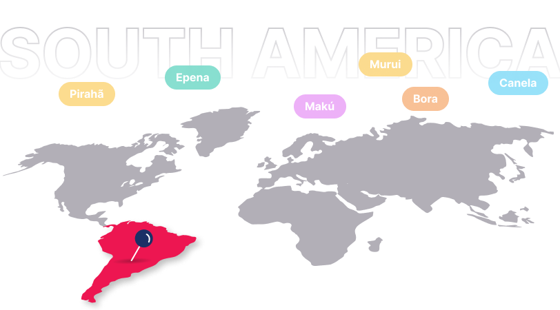 multimedia translation