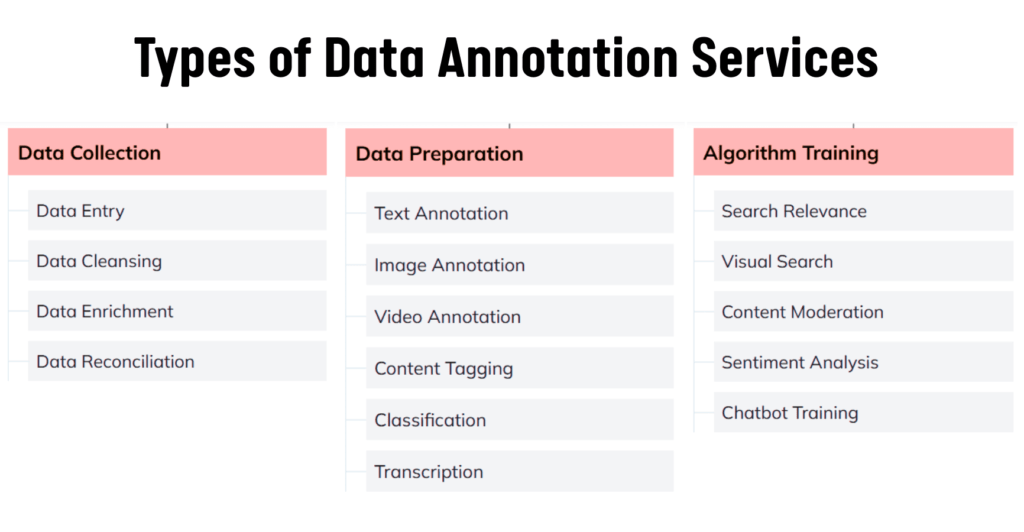 AI Data Annotation Services